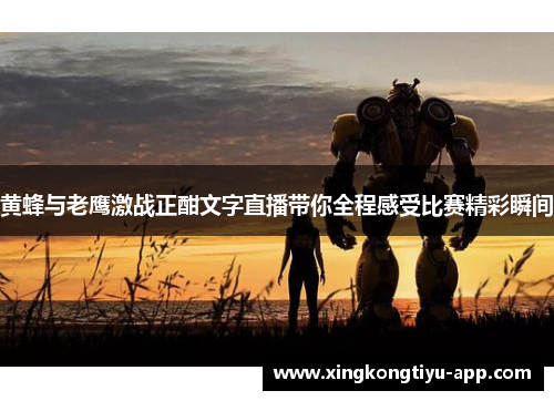 黄蜂与老鹰激战正酣文字直播带你全程感受比赛精彩瞬间